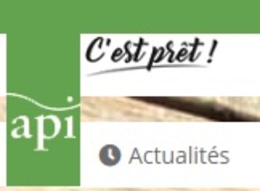 api.jpg